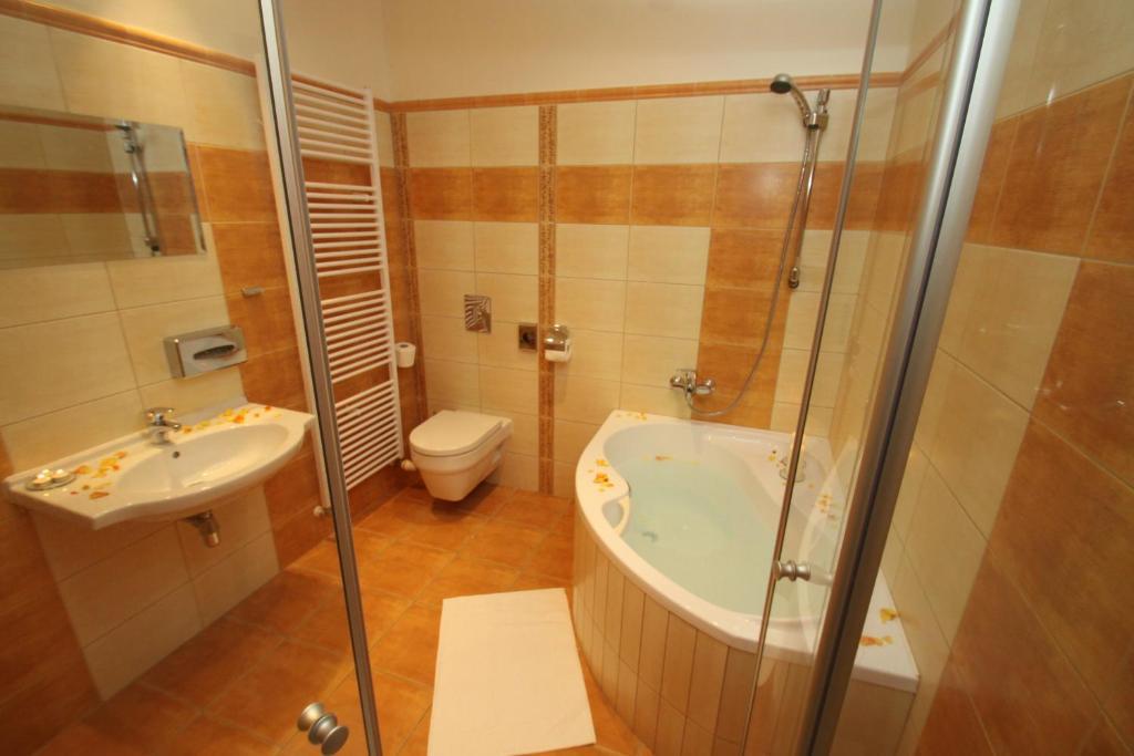 Hotel Slovan Єсеник Екстер'єр фото